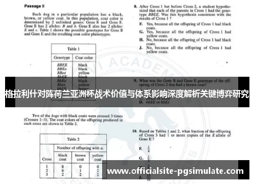 格拉利什对阵荷兰亚洲杯战术价值与体系影响深度解析关键博弈研究