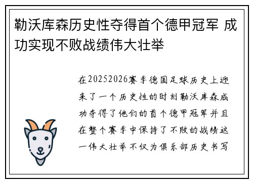 勒沃库森历史性夺得首个德甲冠军 成功实现不败战绩伟大壮举